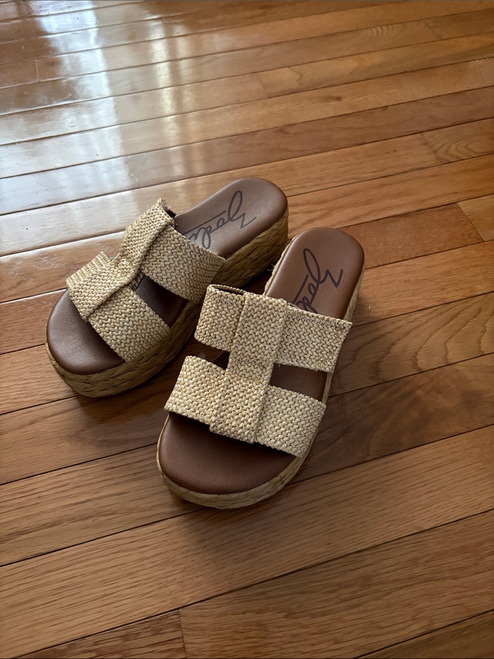 Zodiac Woven Platform Slide Sandals in Natural Beige